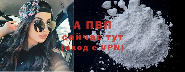 ПСИЛОЦИБИНОВЫЕ ГРИБЫ Осташков
