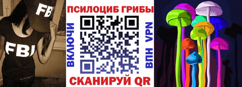 купить наркотик  Торопец  Галлюциногенные грибы Psilocybe 